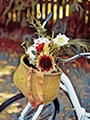 Fahrrad Blumen