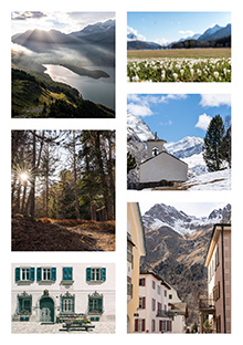 Frühling